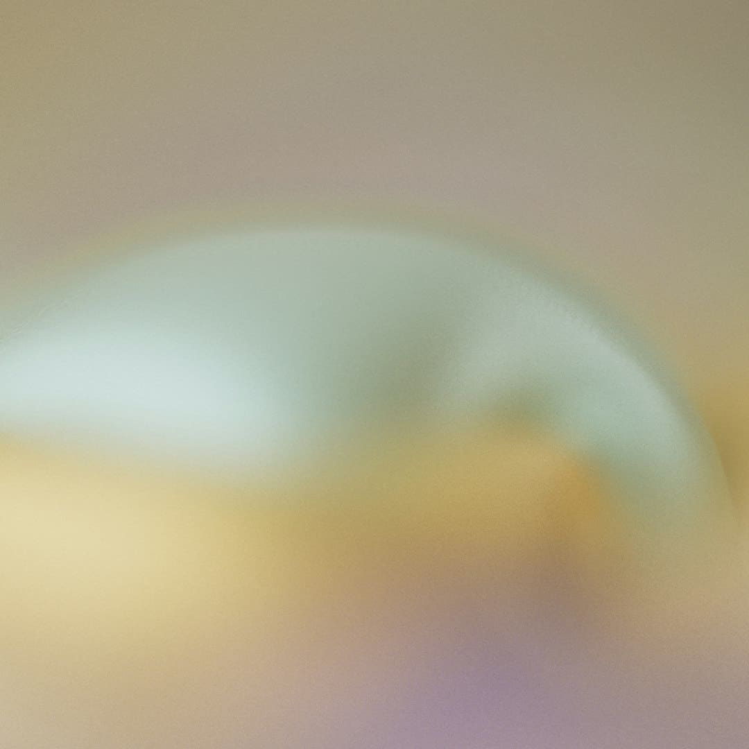 聊聊没来“阅兵”的印日